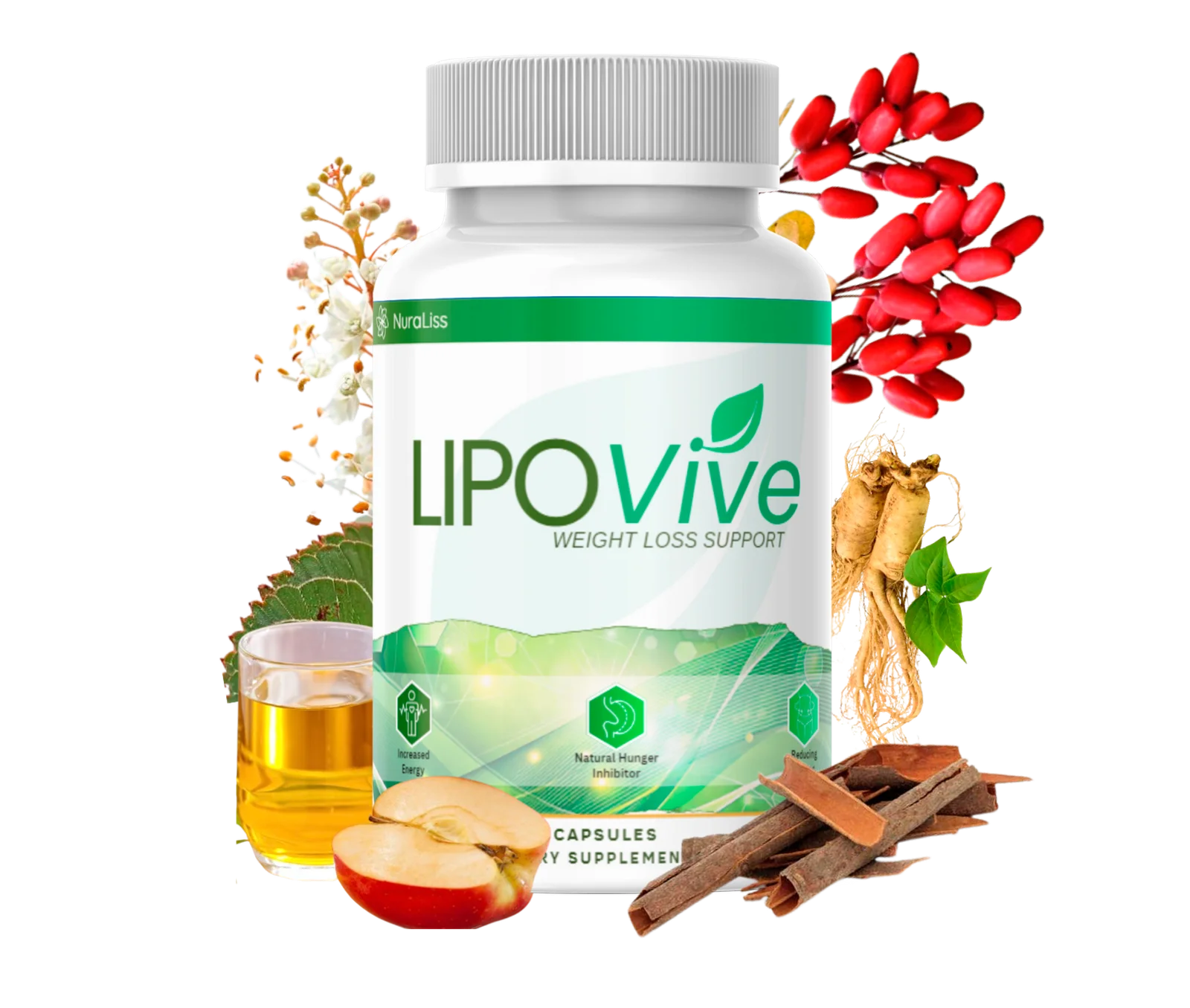 LipoVive Best Value